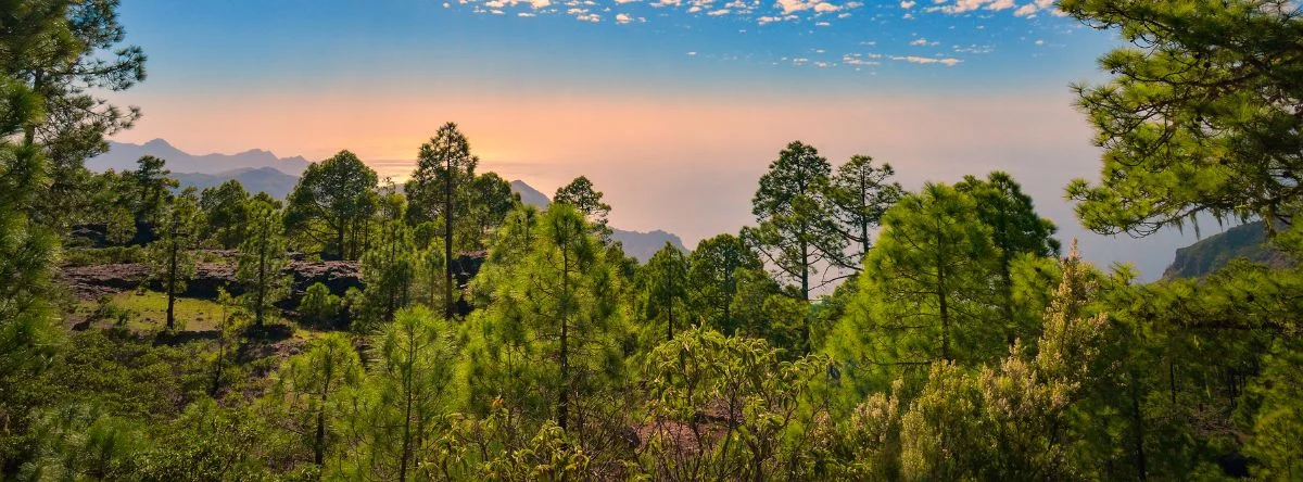 Reserva de la biosfera Gran canaria
