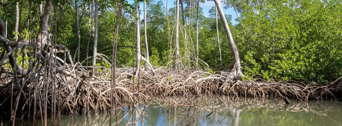 Sehenswürdigkeiten in Samaná