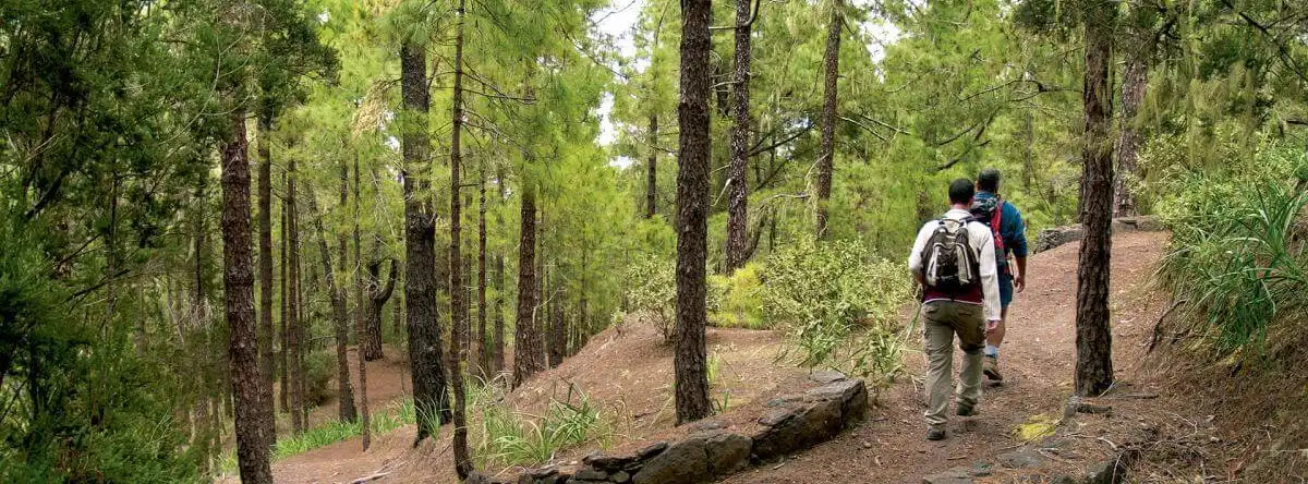 Tamadaba natural park