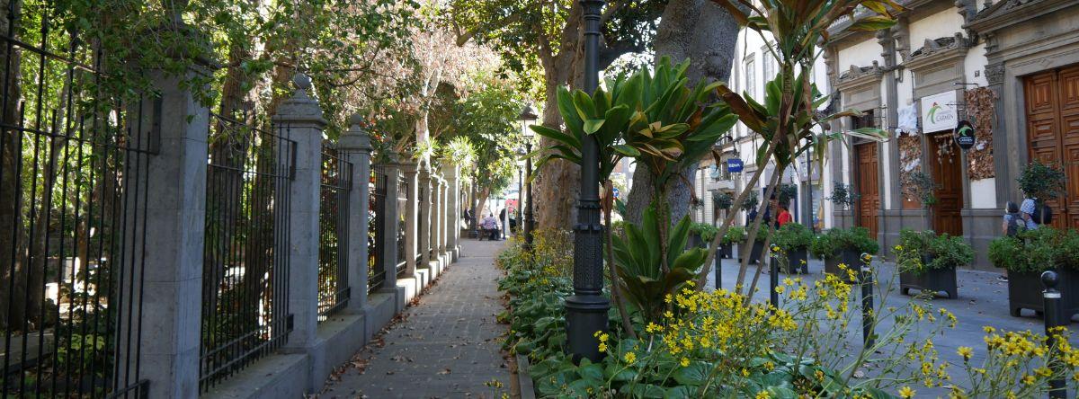 What to see in Arucas