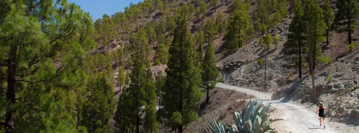 camino de santiago en gran canaria etapas