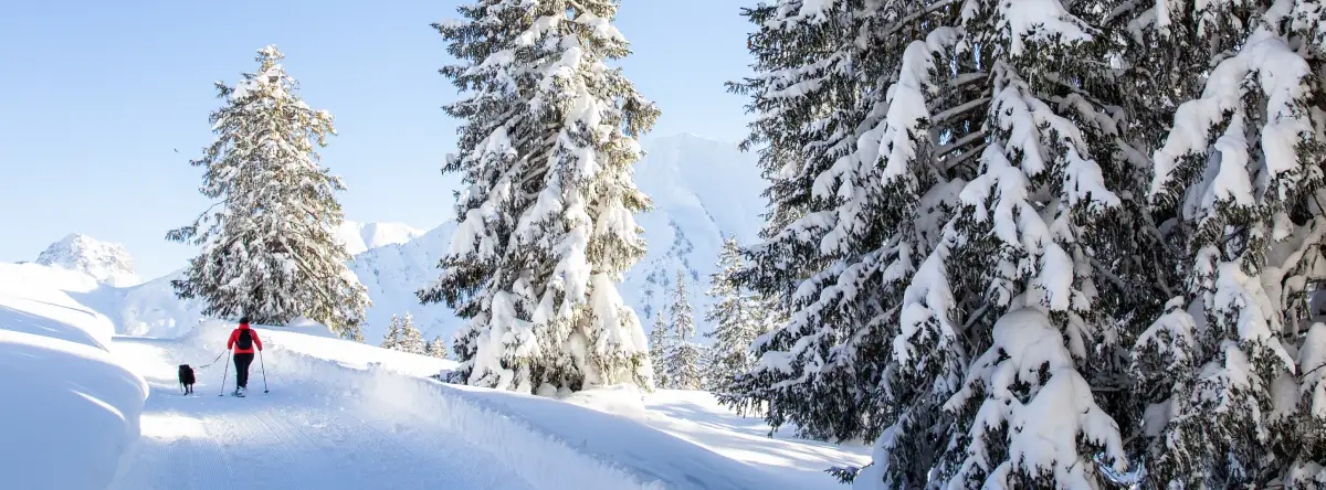 esquí Skigebiet Kleinwalsertal