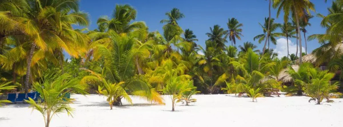 family excursion to Saona Island