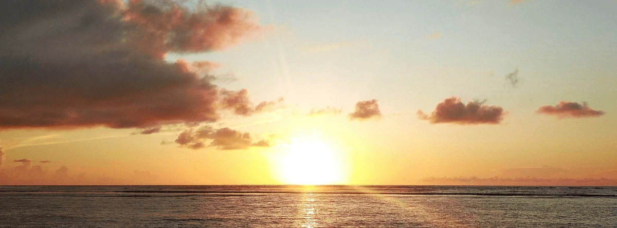 fin de año en punta cana
