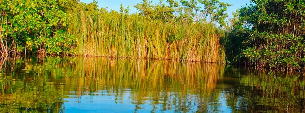 laguna bávaro paraíso natural