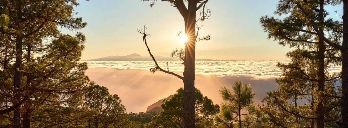 national park of Tamadaba