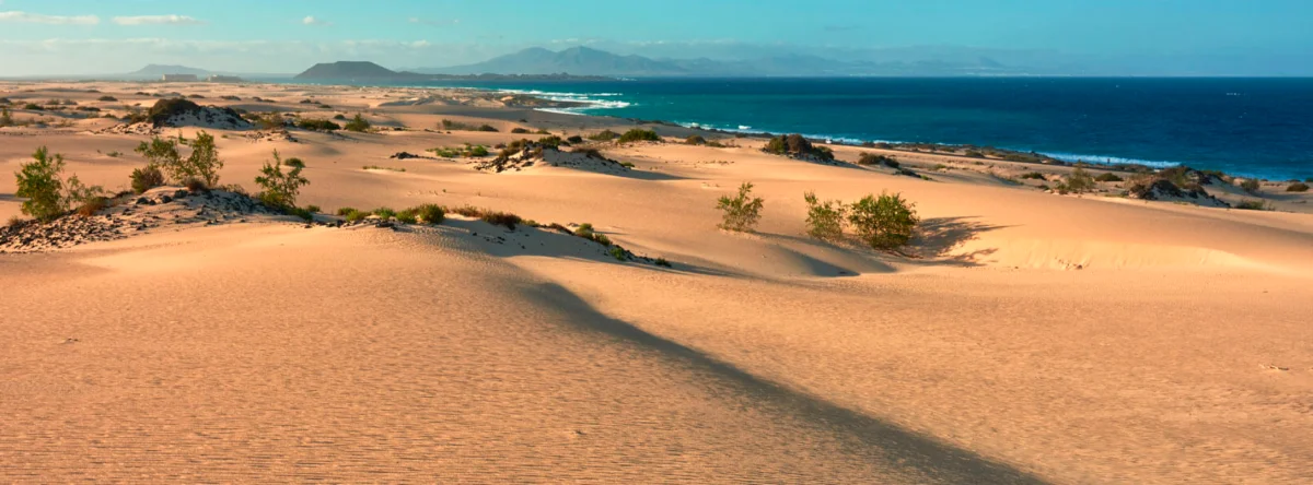que hacer en corralejo