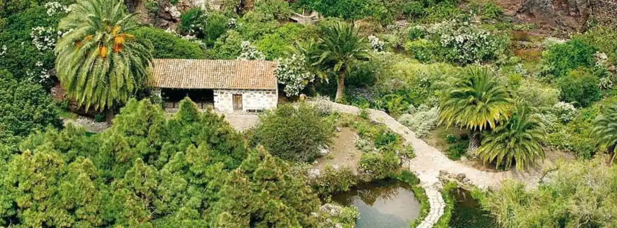 Botanischer Garten Viera y Clavijo