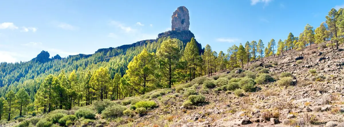 Gran Canaria routes with kids