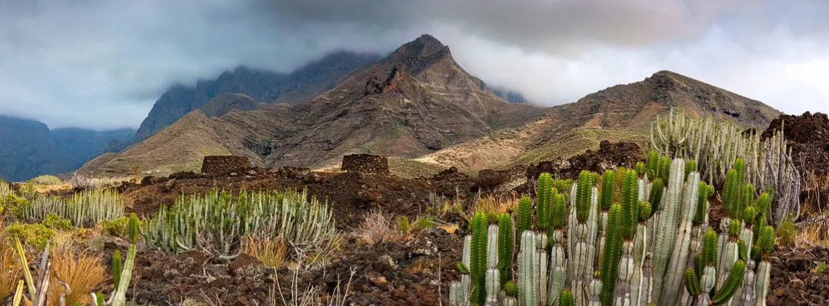 Las Cuevas del Rey in Tejeda