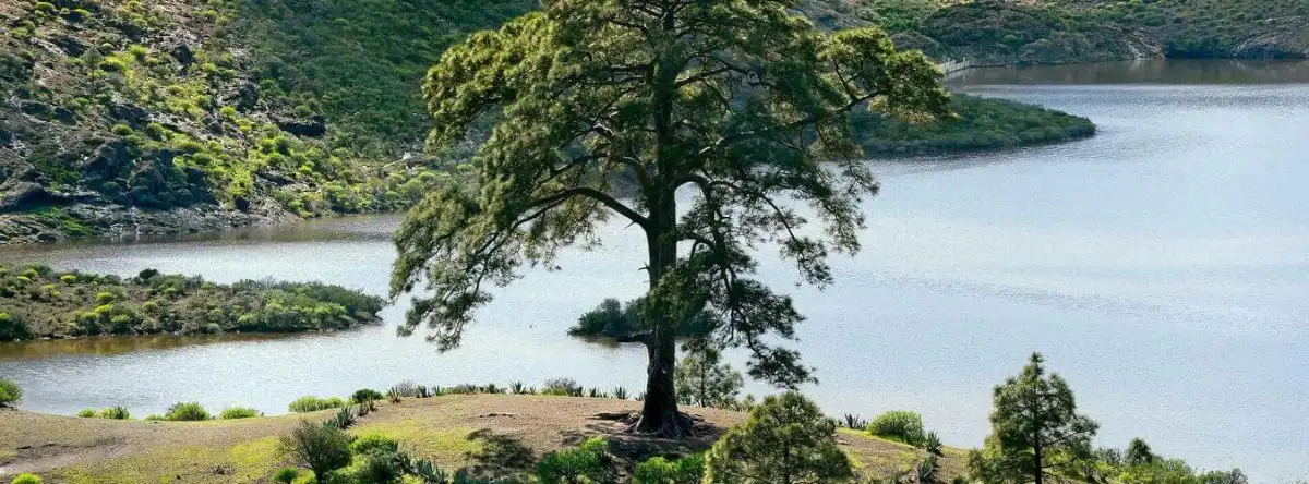 Stausee Las Niñas