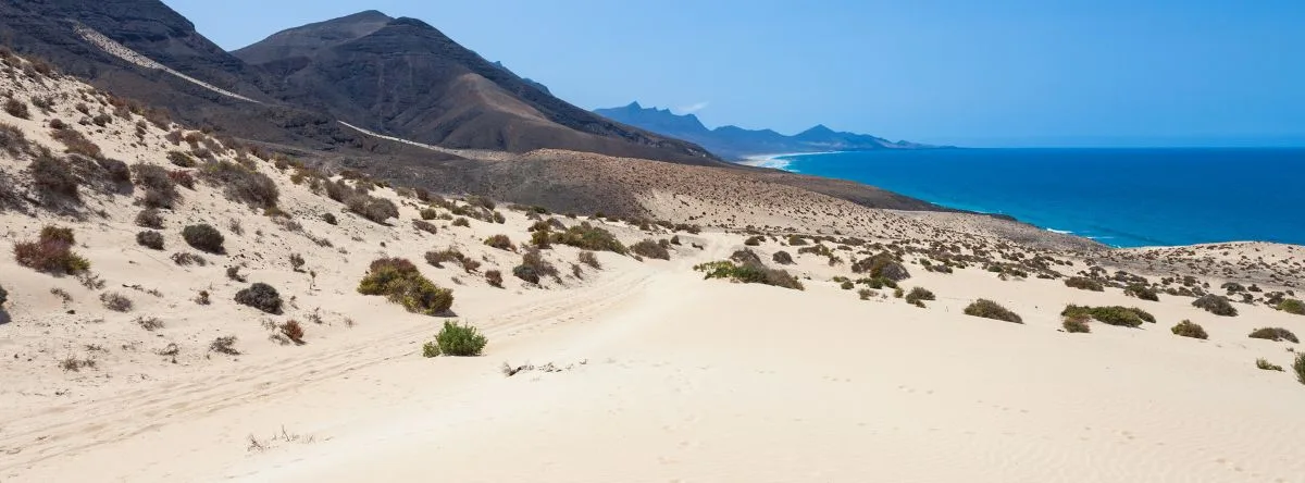 wie man nach Fuerteventura ankommt