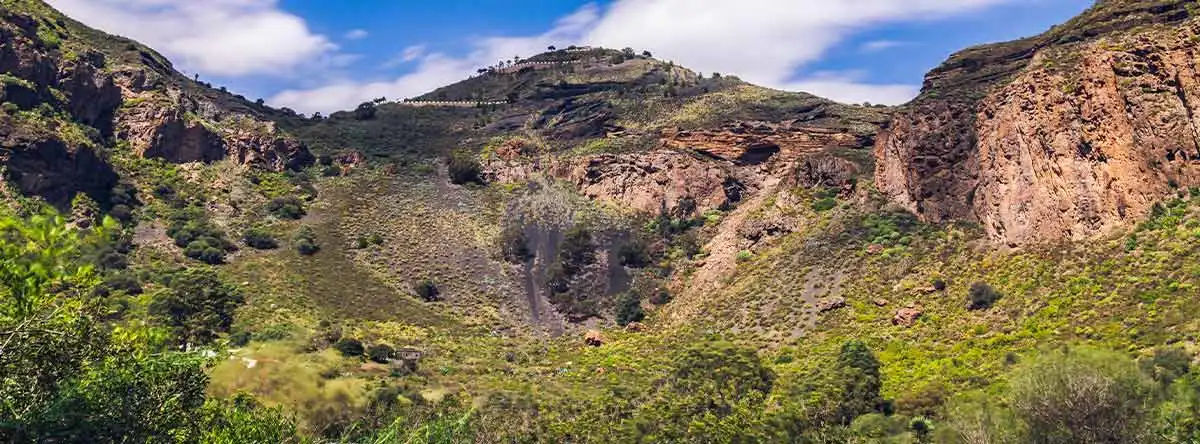 Caldera de Bandama Gran Canaria