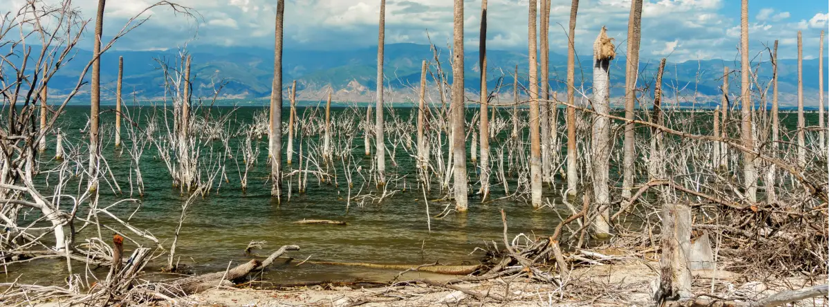 Nature tourism in the Caribbean