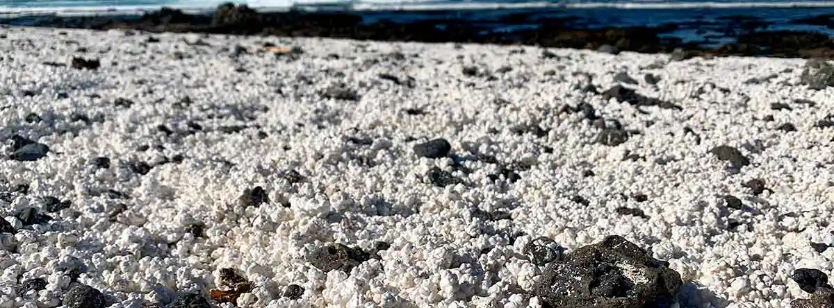 Popcorn Beach Corralejo