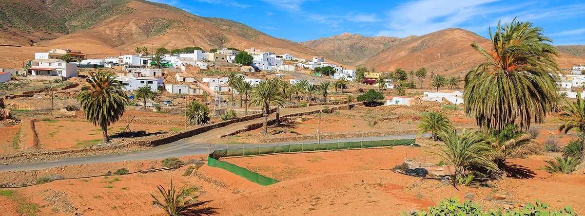que hacer en pajara fuerteventura