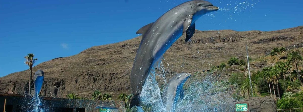 theme parks in Gran Canaria
