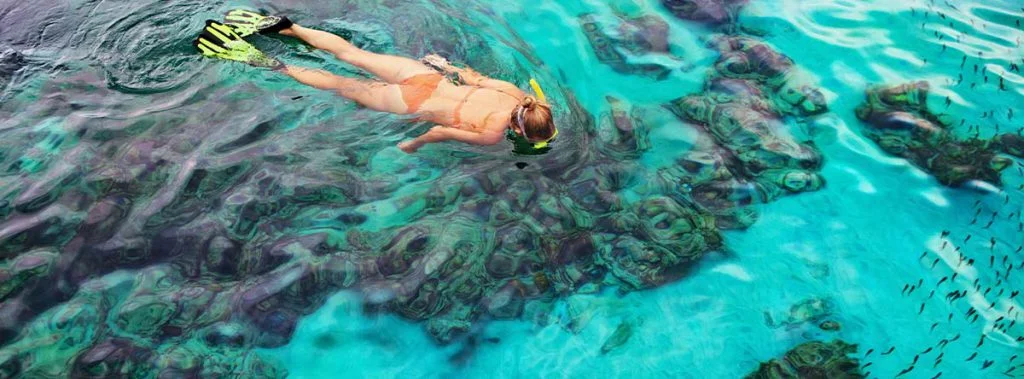 wo man in Punta Cana schnorcheln kann