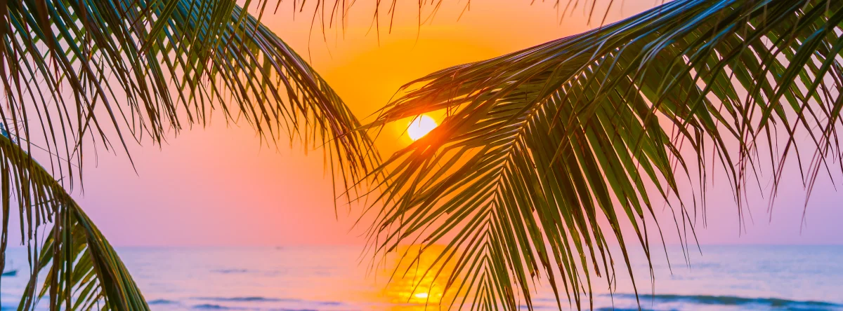 atardeceres en punta cana