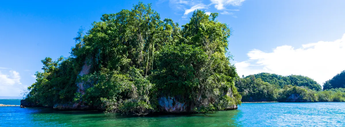 excursion a santo domingo desde punta cana