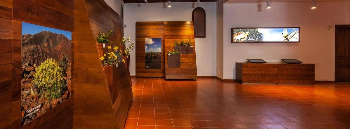museo de queso fuerteventura