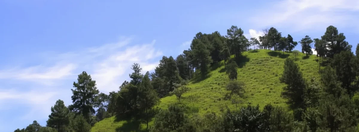 Excursion to Pico Duarte