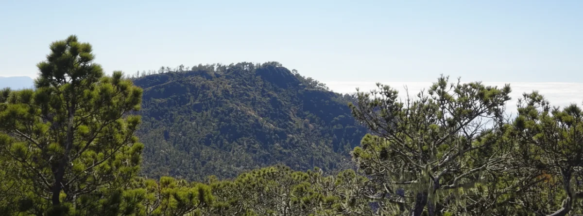 Mountain tourism at Pico Duarte
