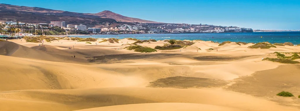islas canarias cual es mejor