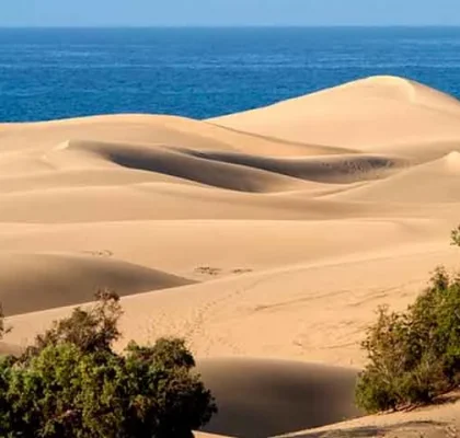 Aktivitäten und Ausflüge auf Gran Canaria