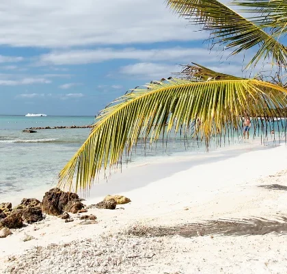 August weather in Punta Cana