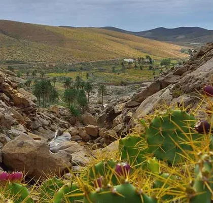 Barranco de las Peñitas Fuerteventura