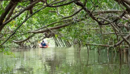 Bávaro Lagoon, Punta Cana