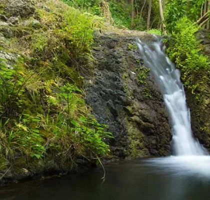 Besonderes Naturreservat von Azuaje