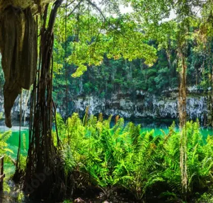 Best cenotes in the Dominican Republic