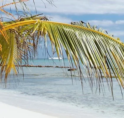 Beste Reisezeit für Punta Cana