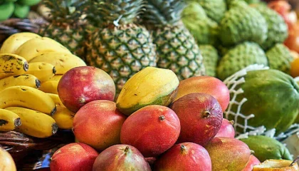 Canarian fruits and produce