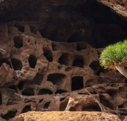 Cenobio valeron Gran Canaria