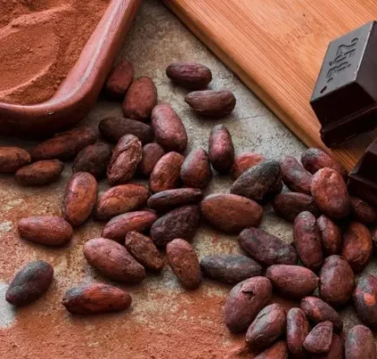 Chocolate Museum