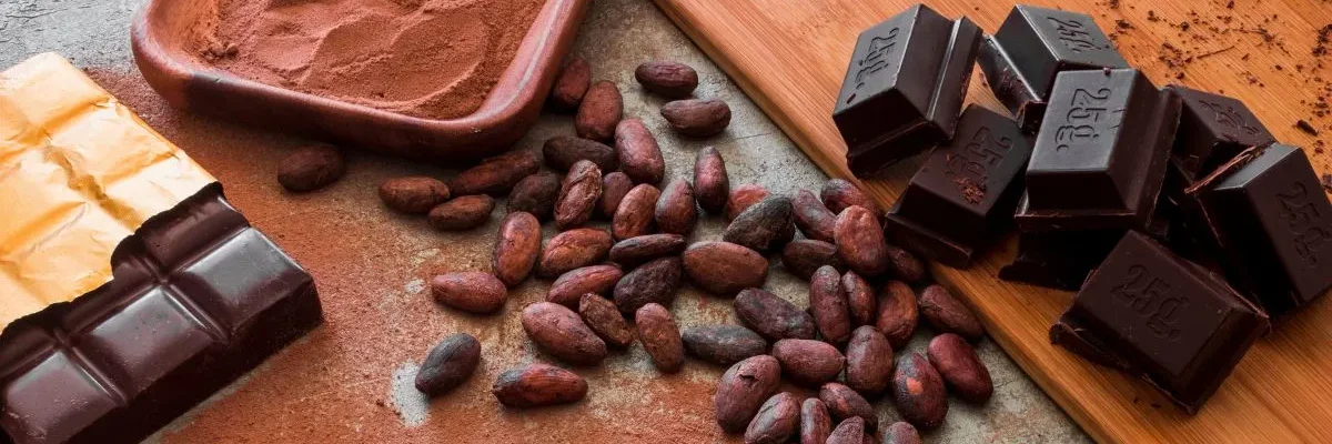Chocolate Museum