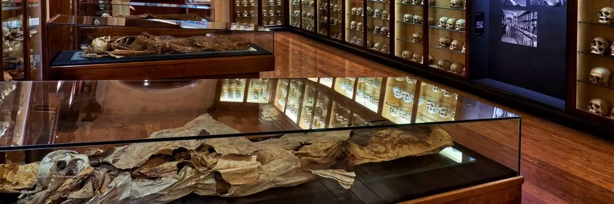 El Museo Canario, Gran Canaria