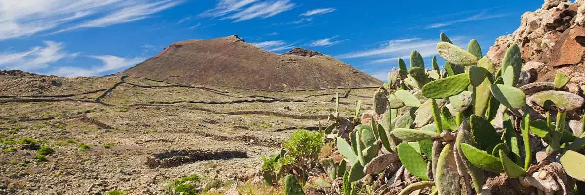 Fuerteventura Malpaís Grande
