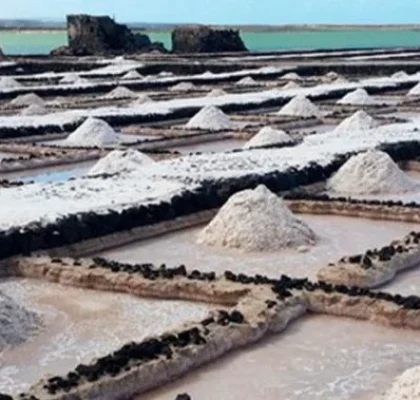 Fuerteventura salt flats