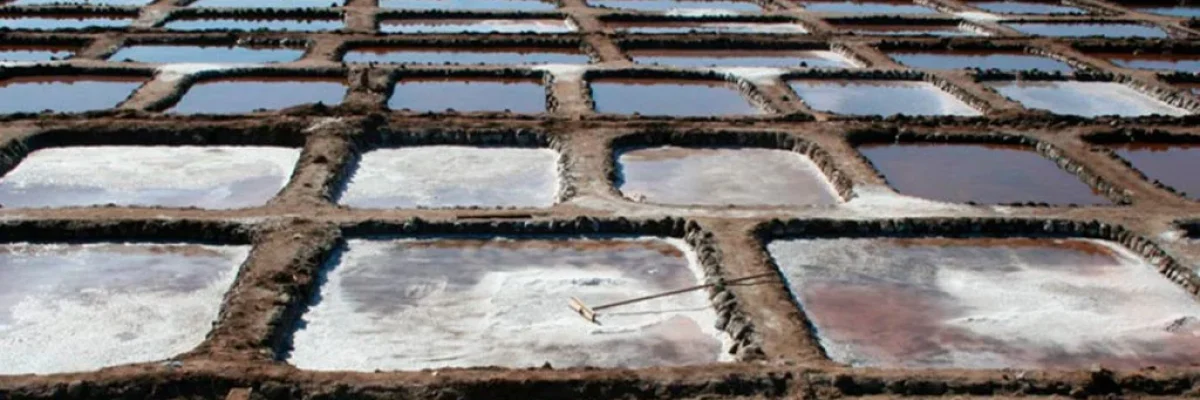 Gran Canaria salt flats