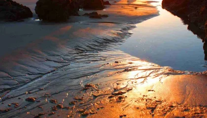 Jarugo, Fuerteventura