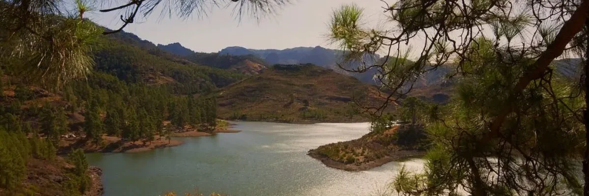 Las Niñas dam.