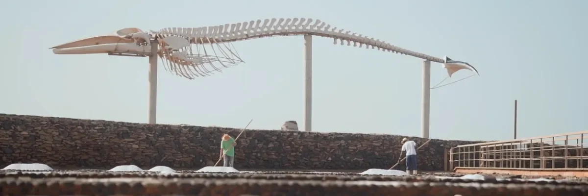 Museen auf Fuerteventura