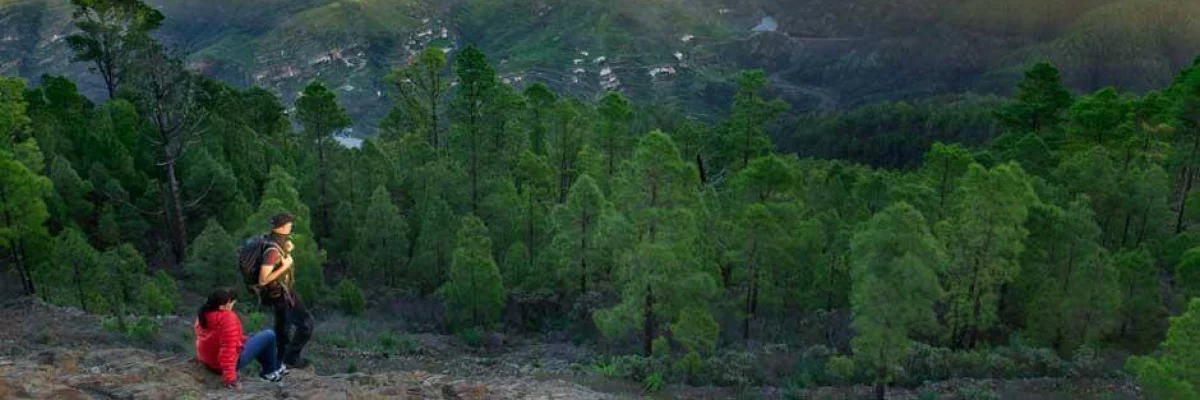 Naturpark von Tamadaba