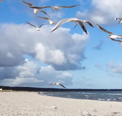 Planes en el mar Báltico