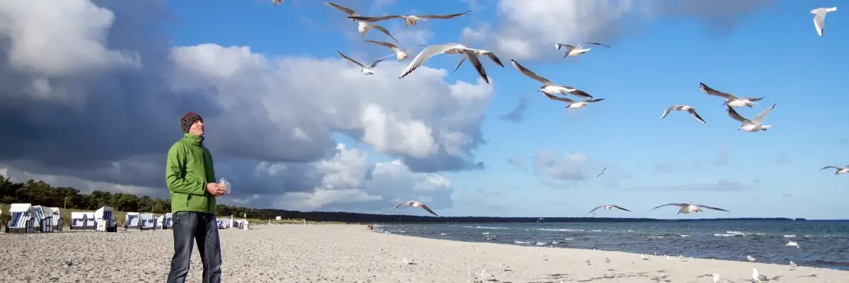 Planes en el mar Báltico