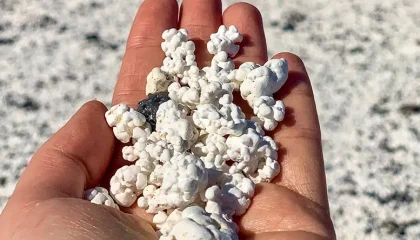 Popcorn Beach in Fuerteventura